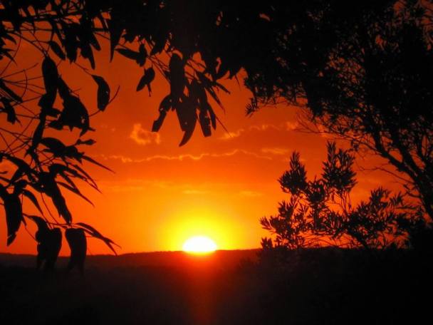 RoyalNationalPark sunset